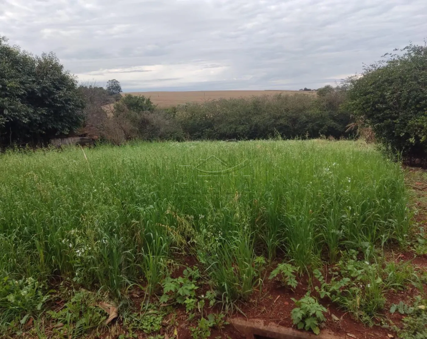 Comprar Terreno / Lote Urbano em Toledo R$ 170.000,00 - Foto 2