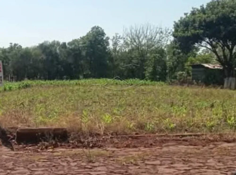 Comprar Terreno / Lote Urbano em Toledo R$ 175.000,00 - Foto 1