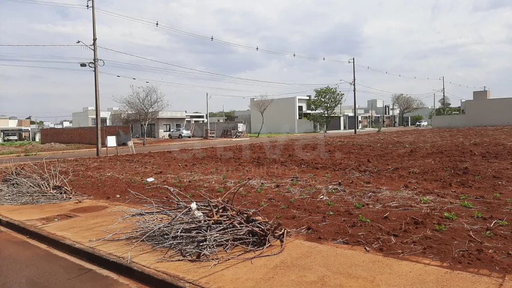 Comprar Terreno / Lote Urbano em Toledo R$ 466.554,00 - Foto 3