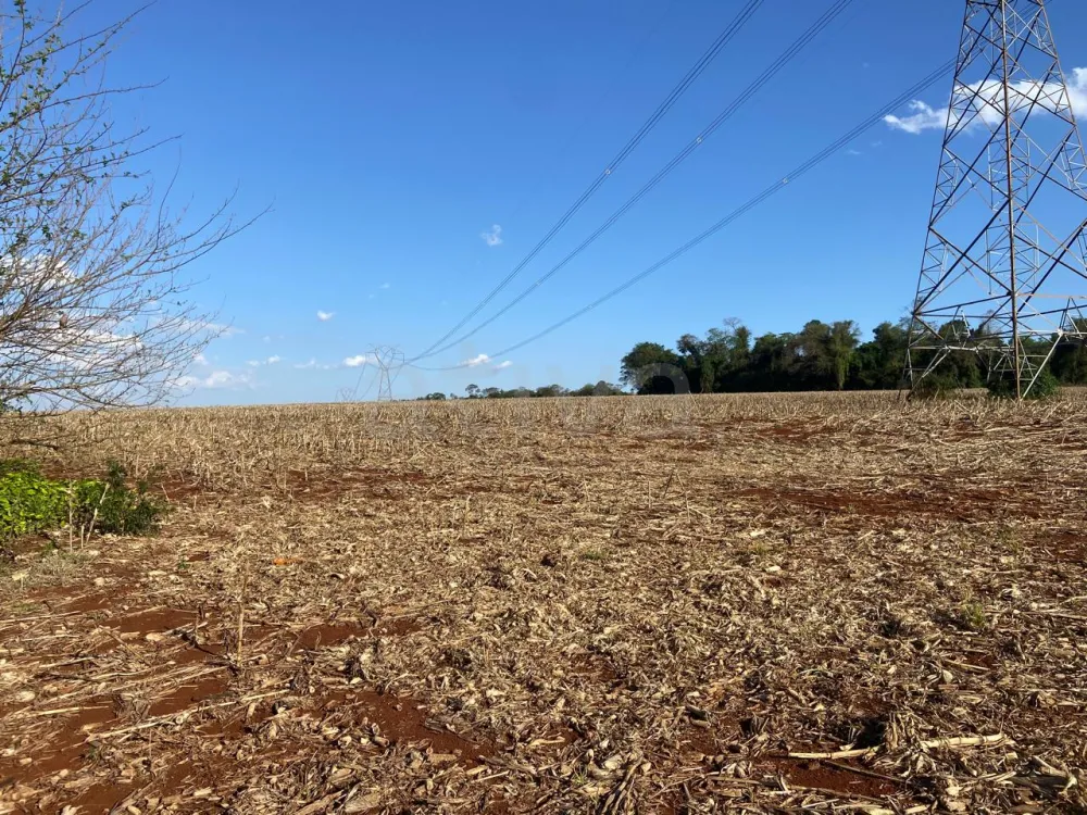 Comprar Rural / S&iacute;tio em Toledo R$ 2.000.000,00 - Foto 3