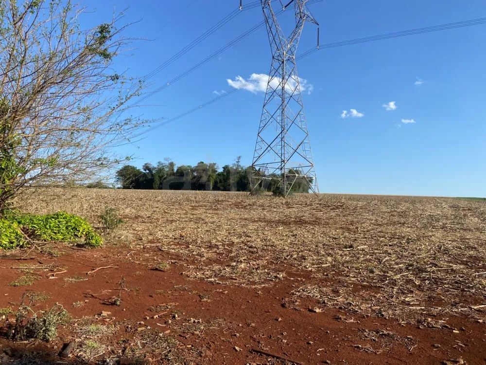 Comprar Rural / S&iacute;tio em Toledo R$ 2.000.000,00 - Foto 4