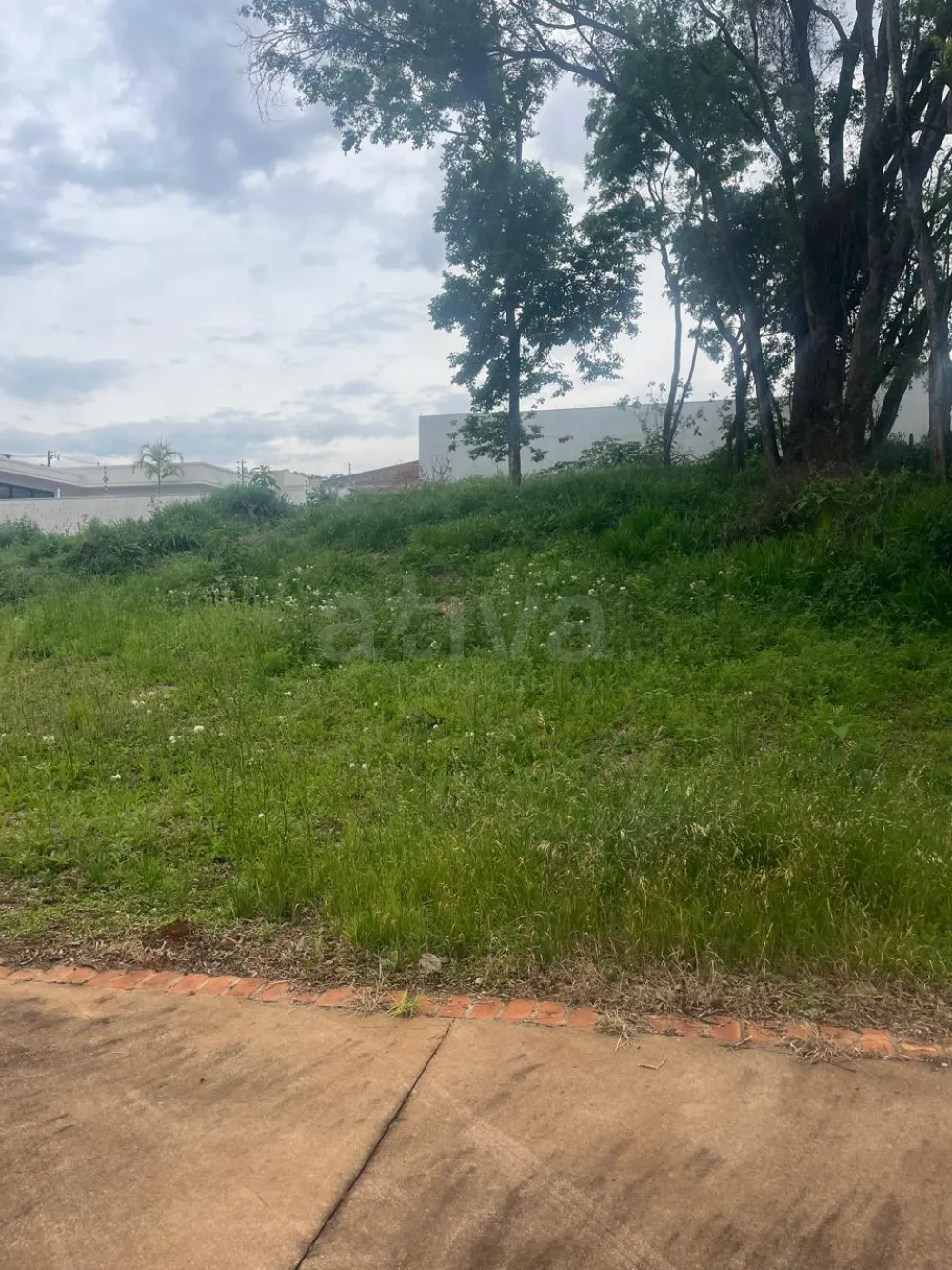 Comprar Terreno / Lote Urbano em Toledo R$ 260.000,00 - Foto 5