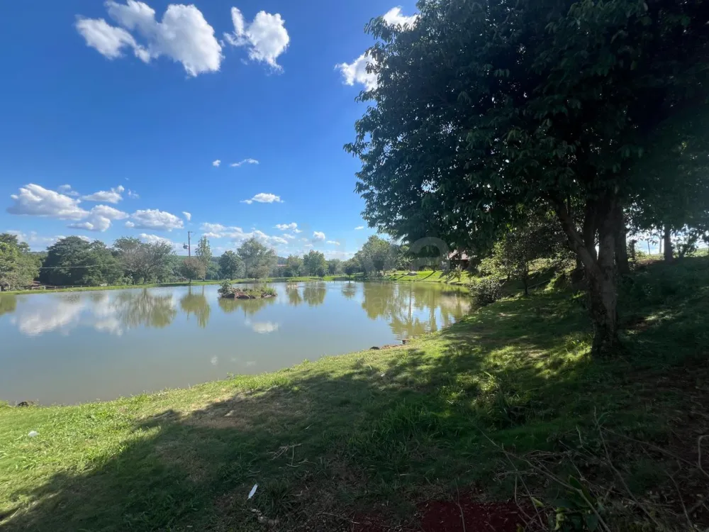 Comprar Rural / S&iacute;tio em Toledo R$ 5.000.000,00 - Foto 8