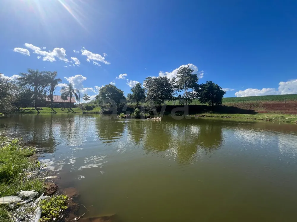 Comprar Rural / S&iacute;tio em Toledo R$ 5.000.000,00 - Foto 9