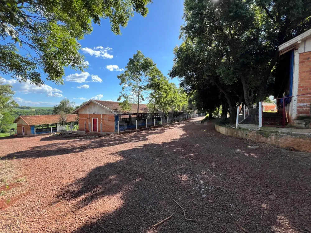 Comprar Rural / S&iacute;tio em Toledo R$ 5.000.000,00 - Foto 14