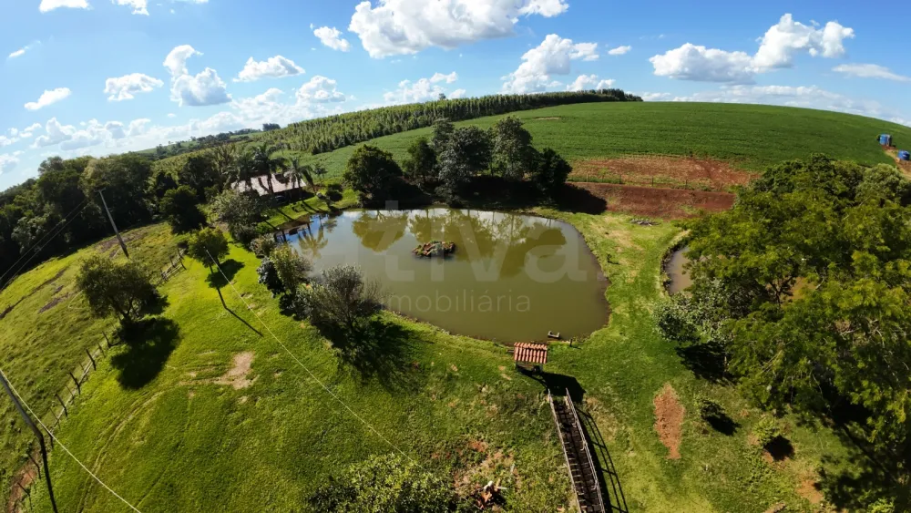 Comprar Rural / S&iacute;tio em Toledo R$ 5.000.000,00 - Foto 5
