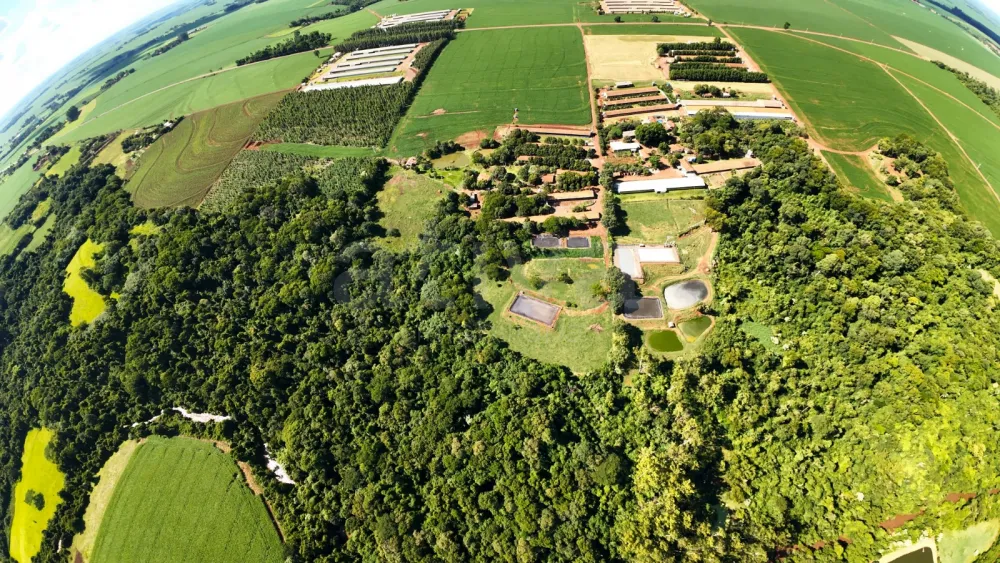 Comprar Rural / S&iacute;tio em Toledo R$ 5.000.000,00 - Foto 19