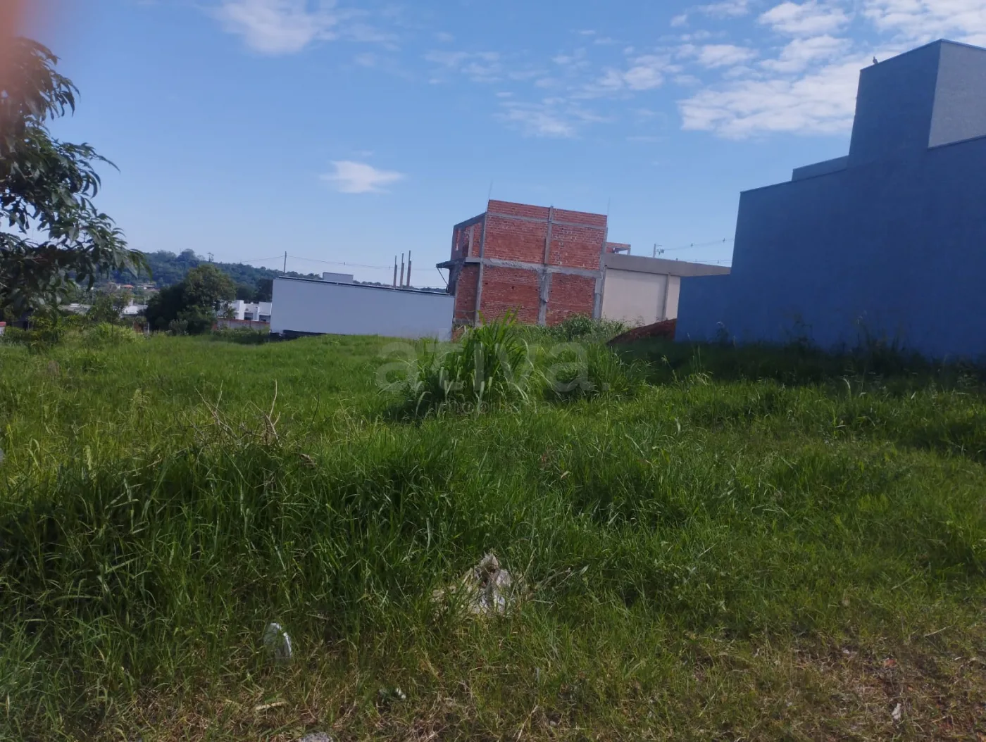 Comprar Terreno / Lote Urbano em Toledo R$ 280.000,00 - Foto 3
