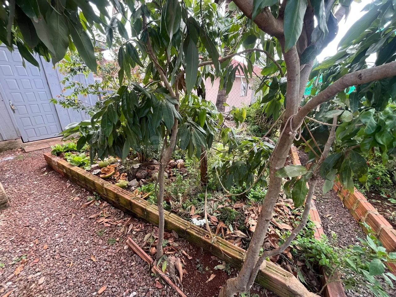 Alugar Casa / Padr&atilde;o em Toledo R$ 1.800,00 - Foto 18