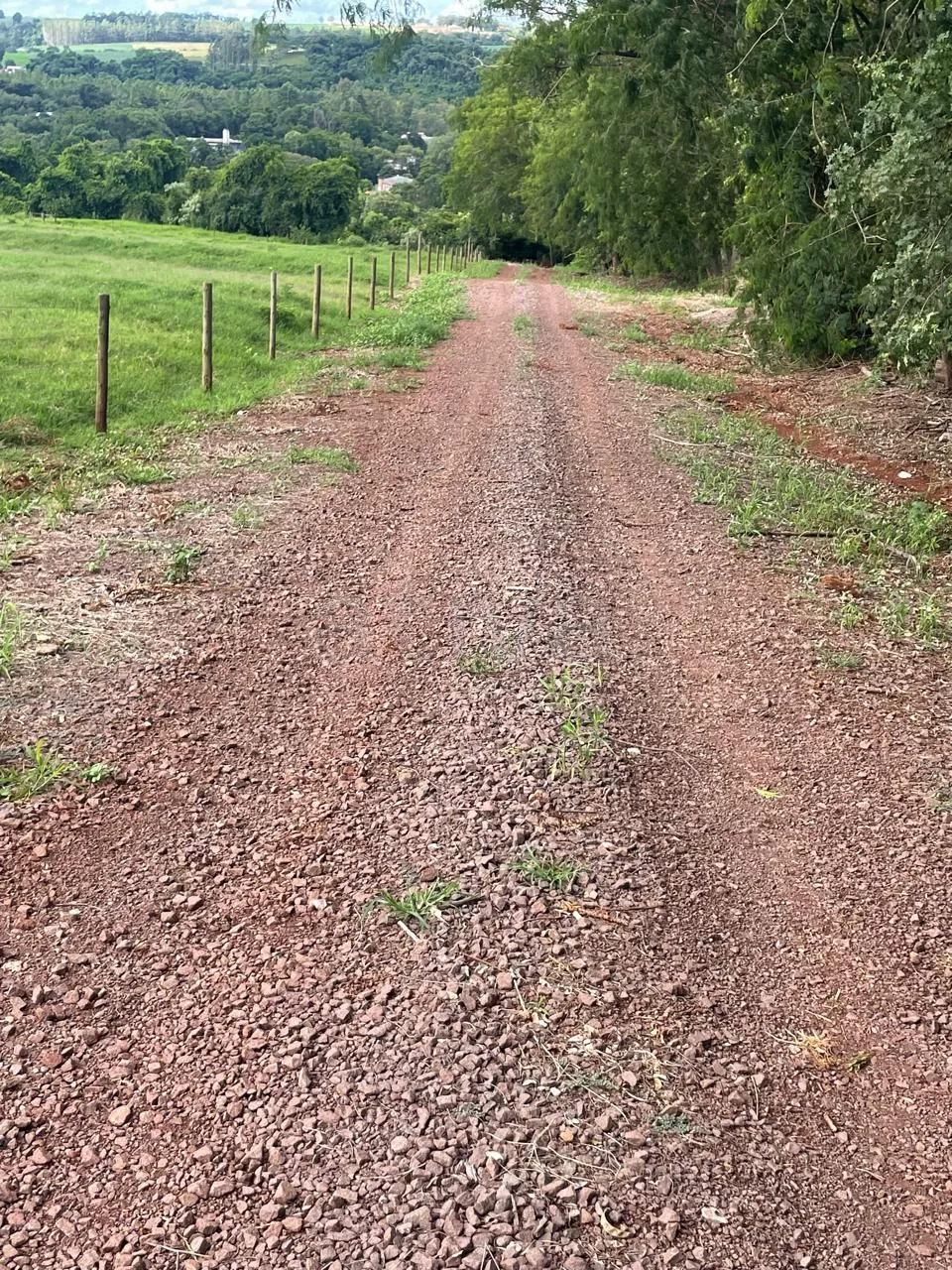 Comprar Rural / Ch&aacute;cara sem Casa em Toledo R$ 1.000.000,00 - Foto 3