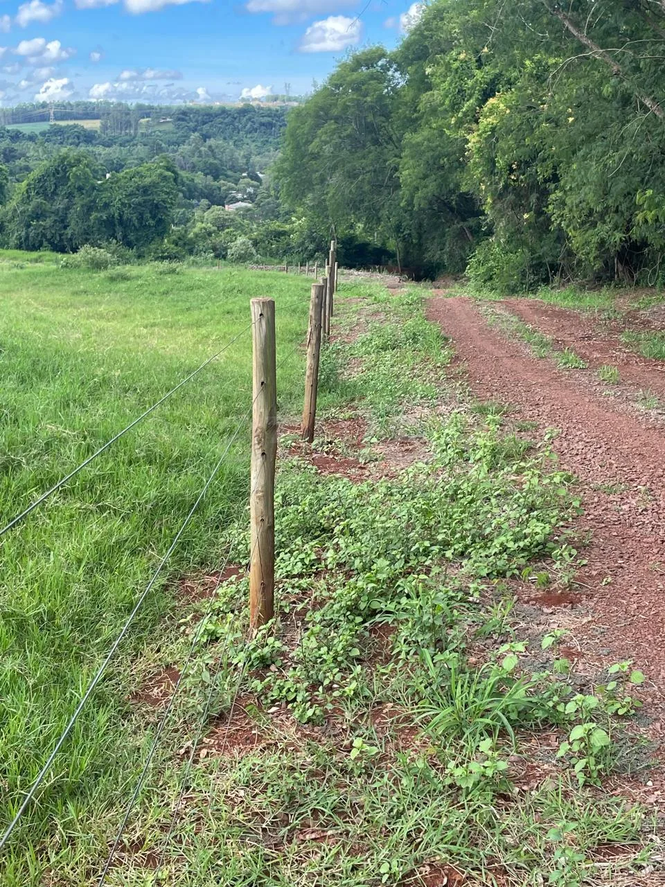 Comprar Rural / Ch&aacute;cara sem Casa em Toledo R$ 1.000.000,00 - Foto 4