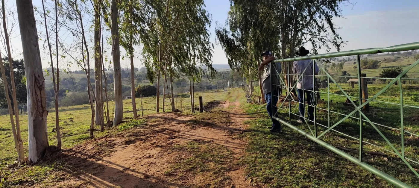 Comprar Rural / Ch&aacute;cara com Casa em Alt&ocirc;nia R$ 500.000,00 - Foto 1