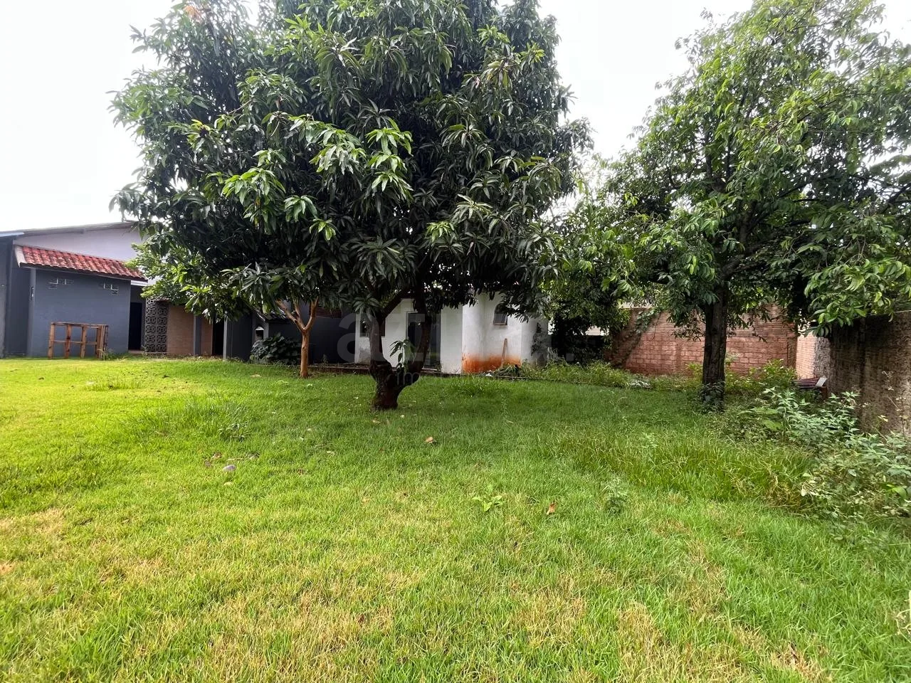 Alugar Comercial / Sala Comercial em Toledo R$ 7.000,00 - Foto 18