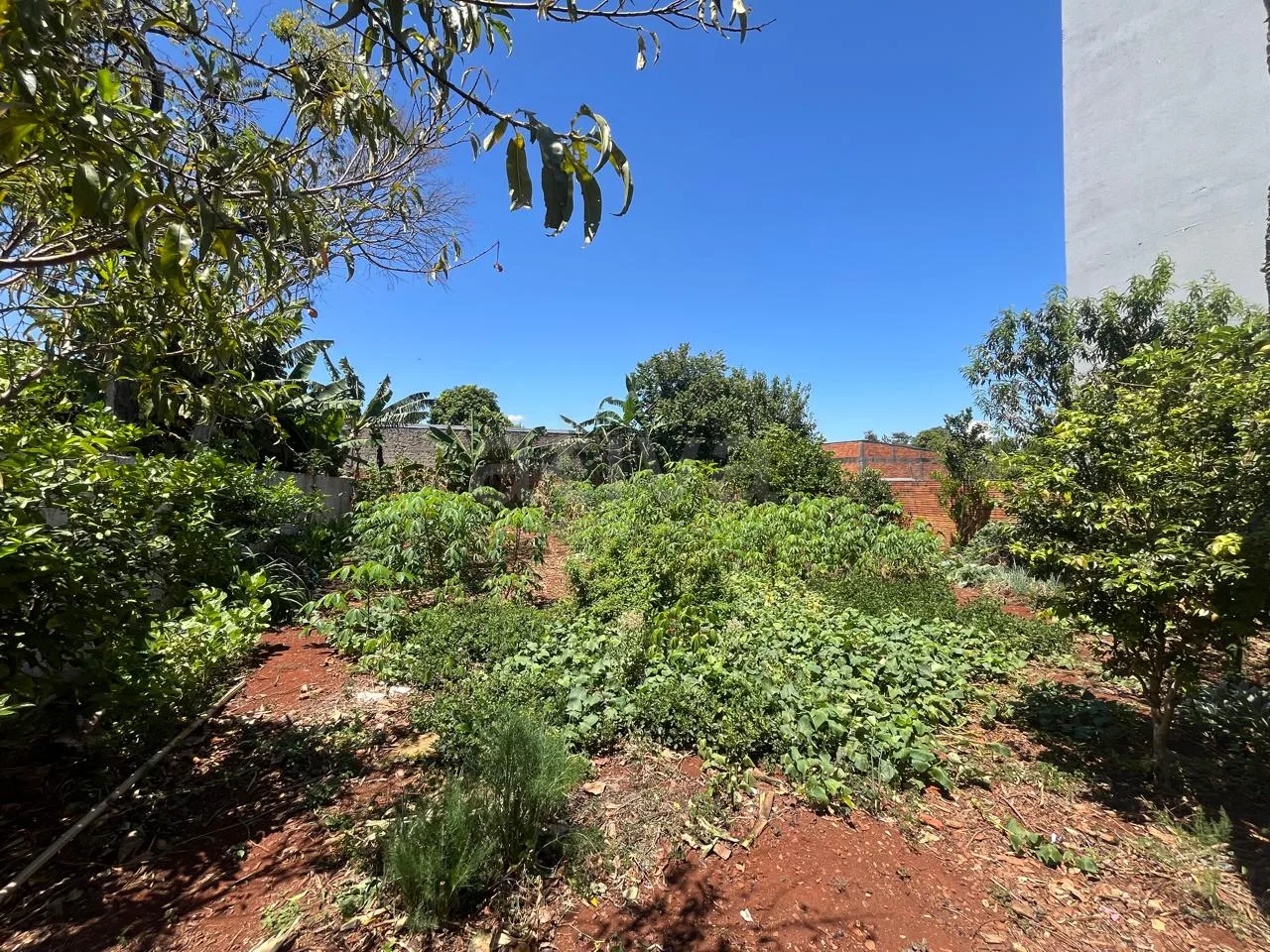 Alugar Casa / Padr&atilde;o em Toledo R$ 2.000,00 - Foto 23