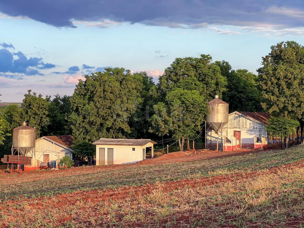 Comprar Rural / S&iacute;tio em Toledo R$ 3.990.000,00 - Foto 4