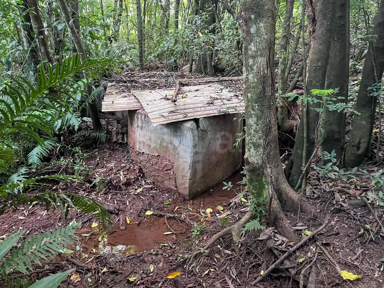 Comprar Rural / S&iacute;tio em Toledo R$ 3.990.000,00 - Foto 9