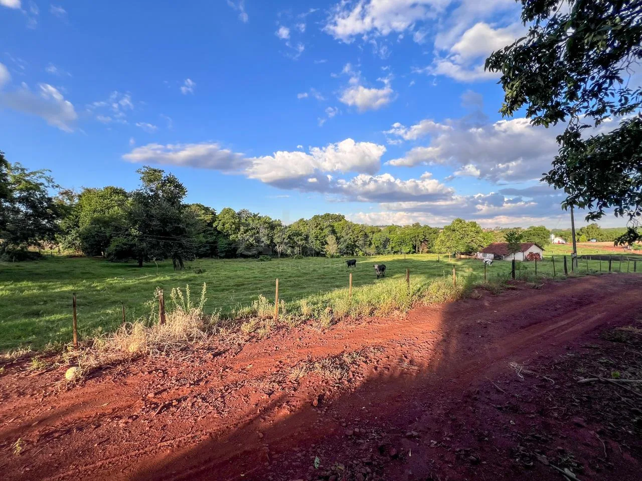 Comprar Rural / S&iacute;tio em Toledo R$ 3.990.000,00 - Foto 11