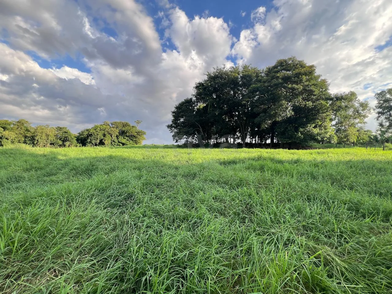 Comprar Rural / S&iacute;tio em Toledo R$ 3.990.000,00 - Foto 12