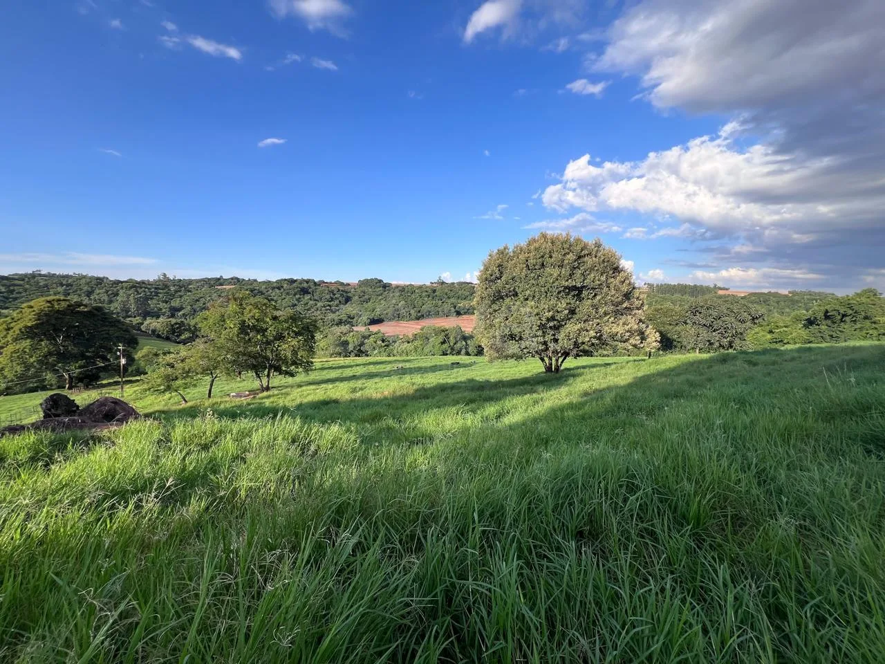 Comprar Rural / S&iacute;tio em Toledo R$ 3.990.000,00 - Foto 13