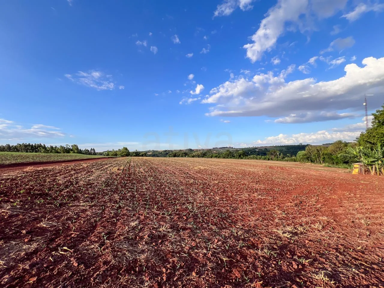 Comprar Rural / S&iacute;tio em Toledo R$ 3.990.000,00 - Foto 14