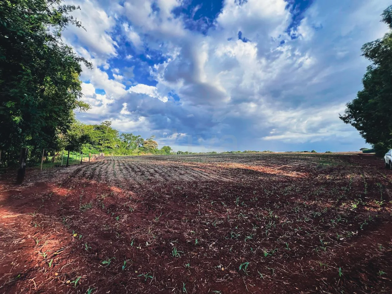 Comprar Rural / S&iacute;tio em Toledo R$ 3.990.000,00 - Foto 15