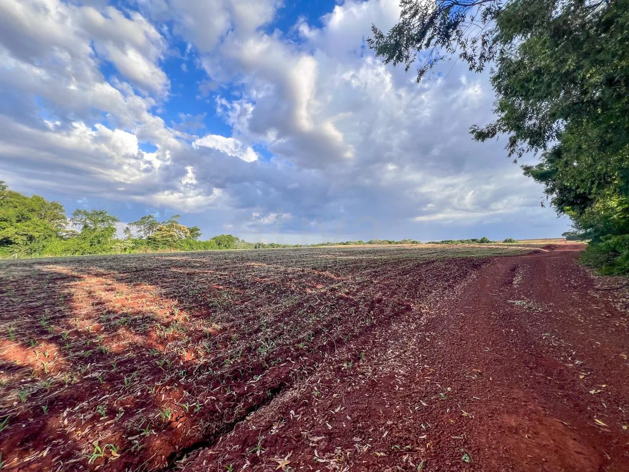 Comprar Rural / S&iacute;tio em Toledo R$ 3.990.000,00 - Foto 17
