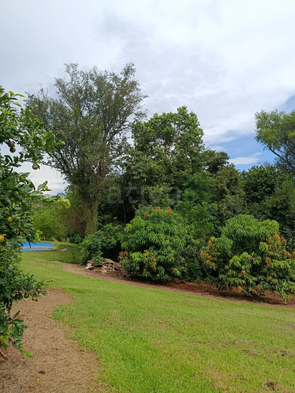 Comprar Rural / Ch&aacute;cara com Casa em Toledo R$ 1.350.000,00 - Foto 6