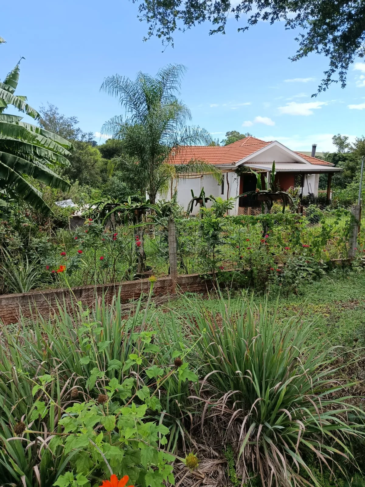 Comprar Rural / Ch&aacute;cara com Casa em Toledo R$ 1.350.000,00 - Foto 2