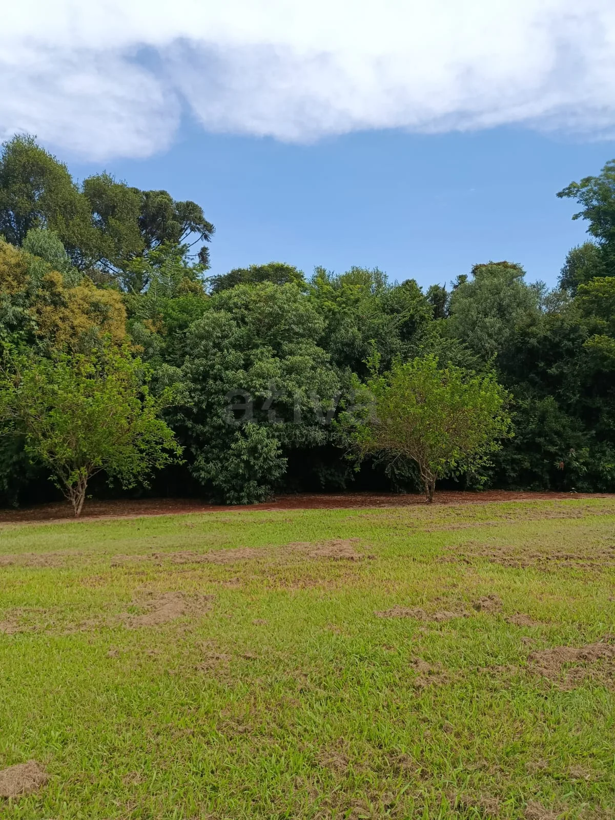 Comprar Rural / Ch&aacute;cara com Casa em Toledo R$ 1.350.000,00 - Foto 8