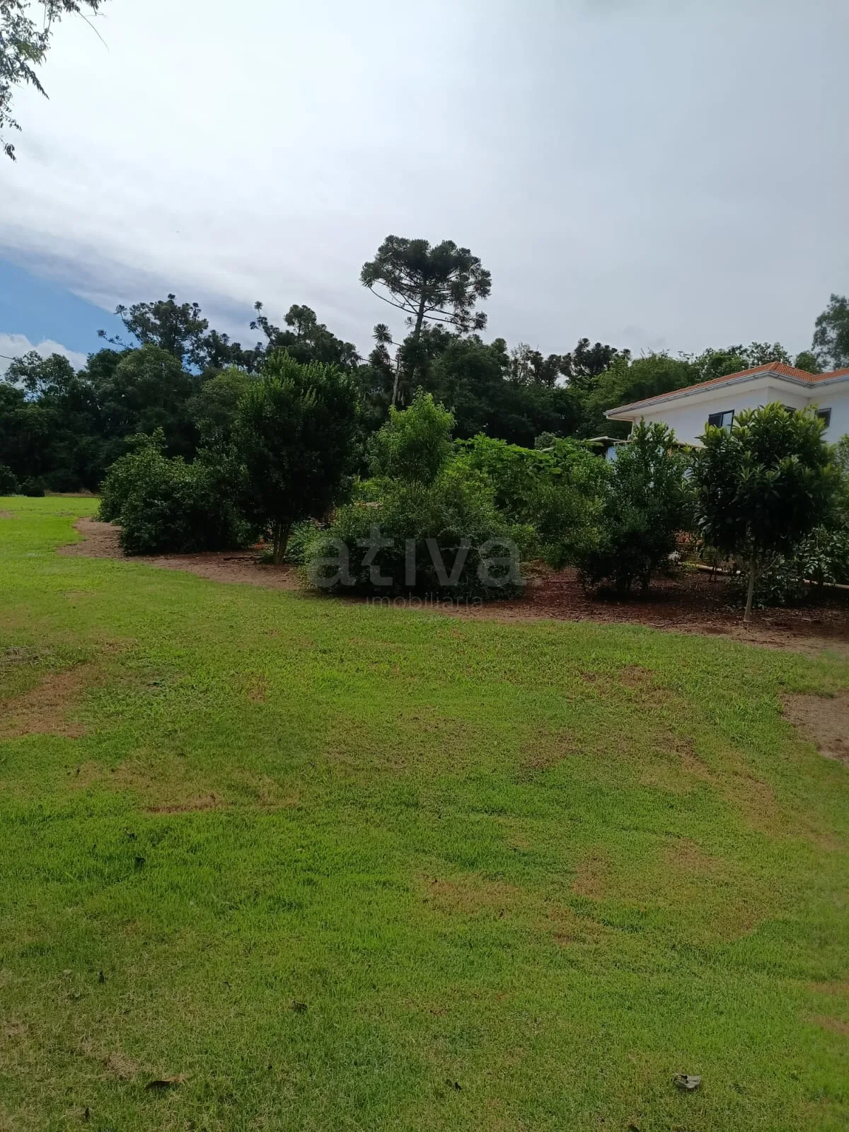 Comprar Rural / Ch&aacute;cara com Casa em Toledo R$ 1.350.000,00 - Foto 10