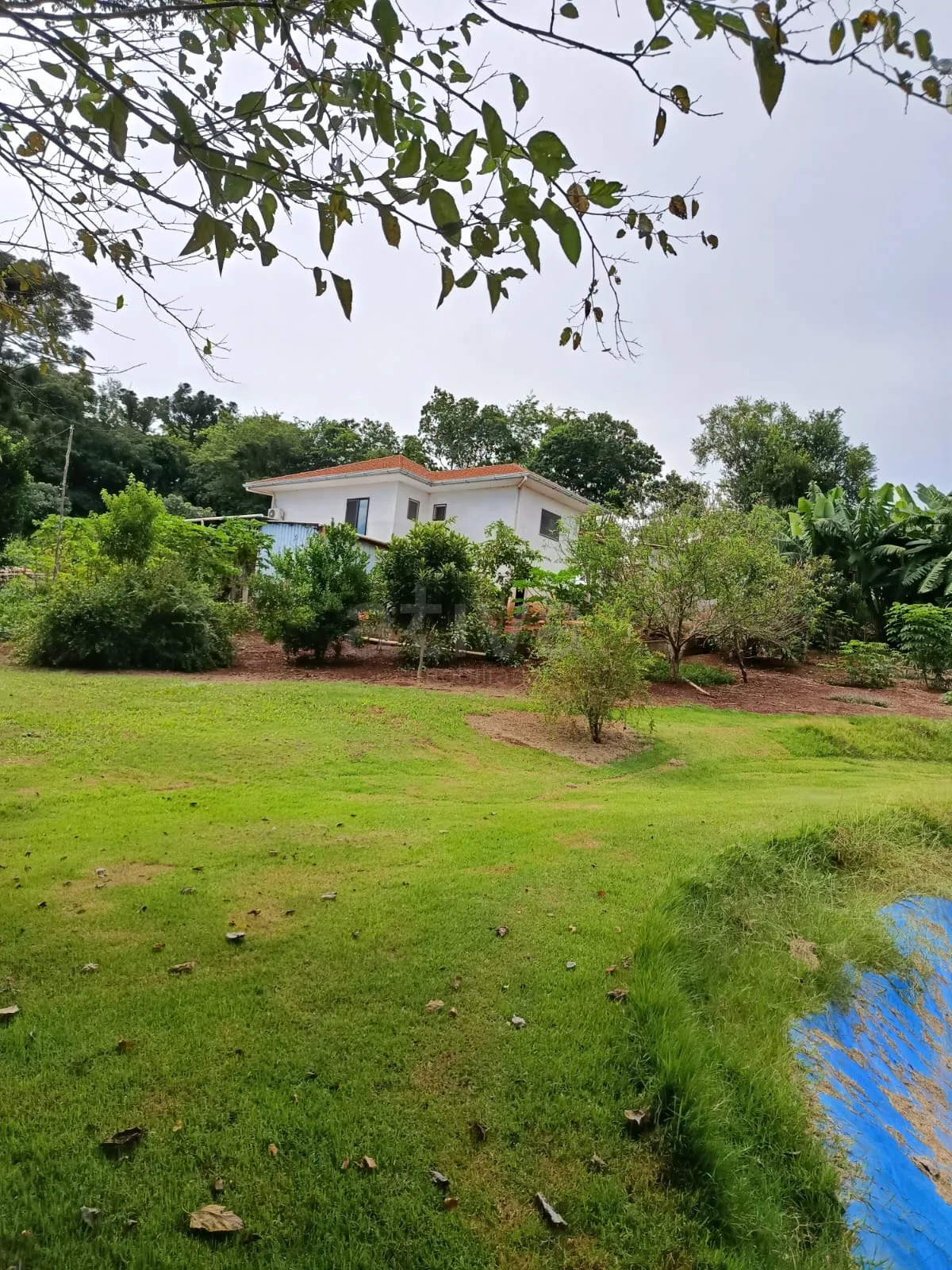 Comprar Rural / Ch&aacute;cara com Casa em Toledo R$ 1.350.000,00 - Foto 3
