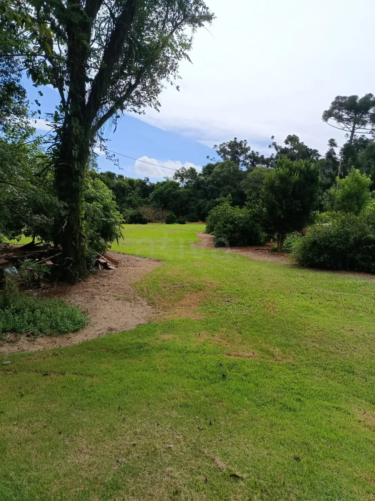 Comprar Rural / Ch&aacute;cara com Casa em Toledo R$ 1.350.000,00 - Foto 12