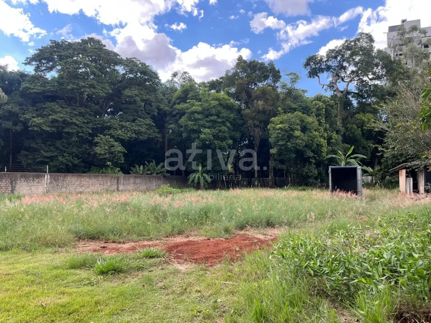 Alugar Terreno / Lote Urbano em Toledo R$ 3.500,00 - Foto 3