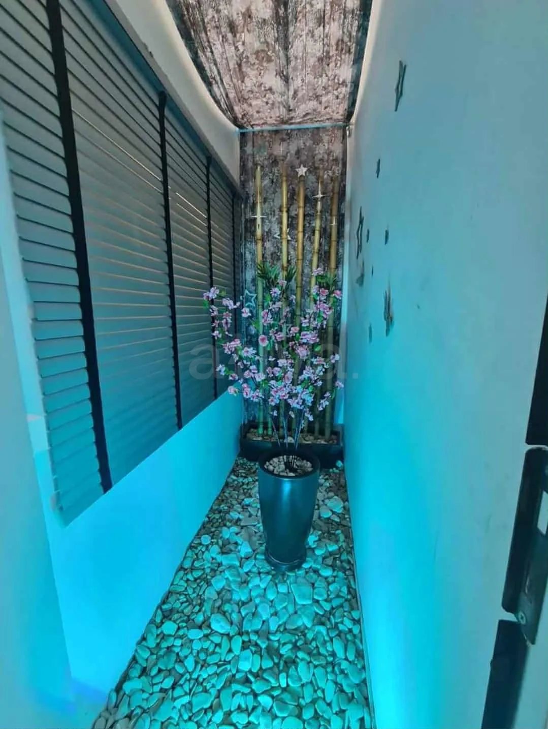 Comprar Casa / Padr&atilde;o em Toledo R$ 1.240.000,00 - Foto 3