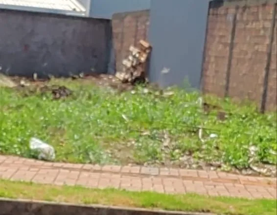 Comprar Terreno / Lote Urbano em Toledo R$ 205.000,00 - Foto 1