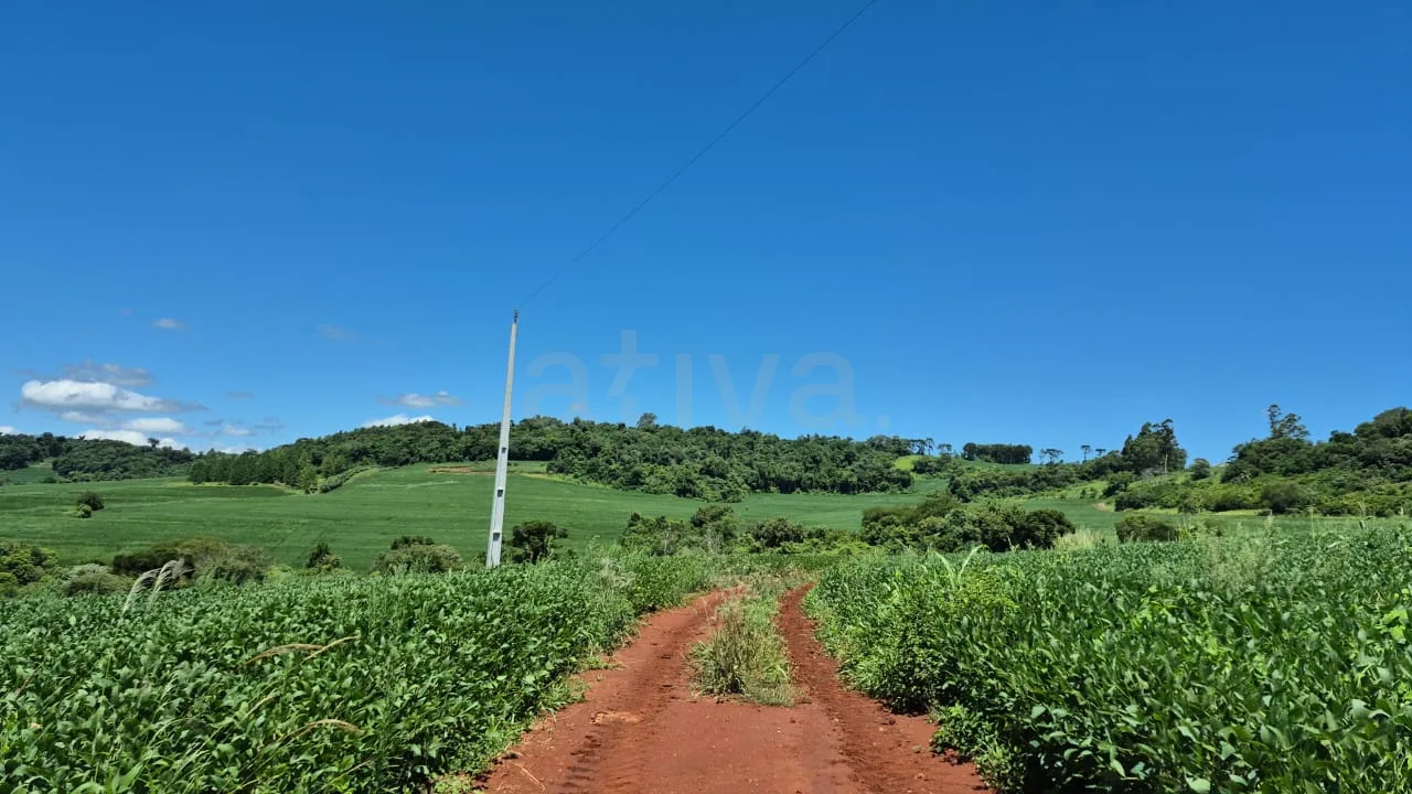 Comprar Rural / Ch&aacute;cara sem Casa em Cascavel R$ 570.000,00 - Foto 1