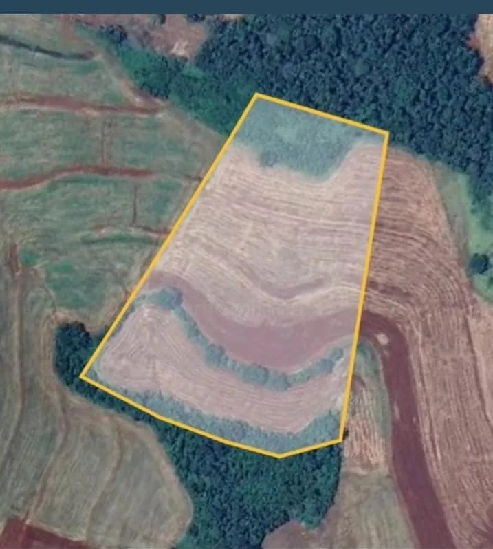 Comprar Rural / Ch&aacute;cara sem Casa em Cascavel R$ 570.000,00 - Foto 3