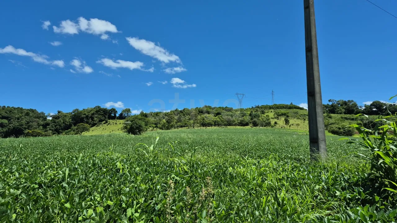 Comprar Rural / Ch&aacute;cara sem Casa em Cascavel R$ 570.000,00 - Foto 4