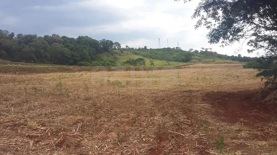 Comprar Rural / Ch&aacute;cara sem Casa em Cascavel R$ 570.000,00 - Foto 5