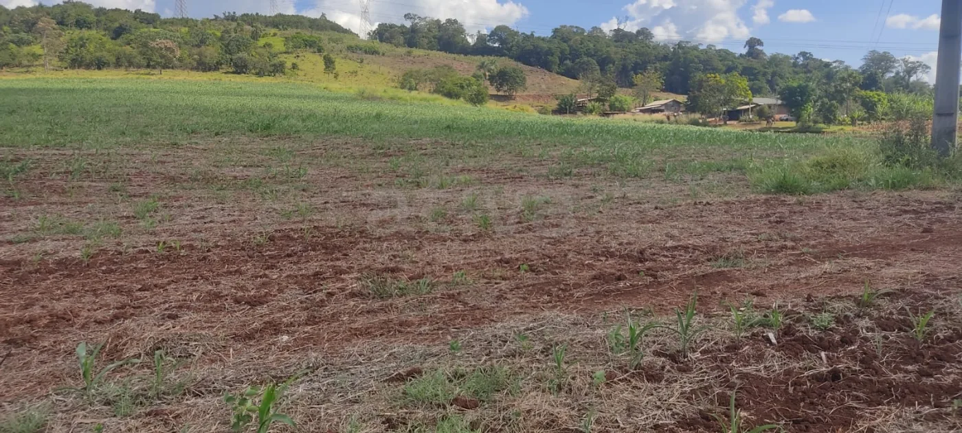 Comprar Rural / Ch&aacute;cara sem Casa em Cascavel R$ 570.000,00 - Foto 7