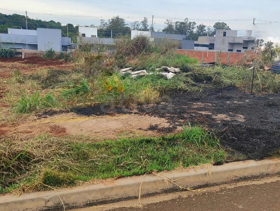 Comprar Terreno / Lote Urbano em Toledo R$ 130.000,00 - Foto 2