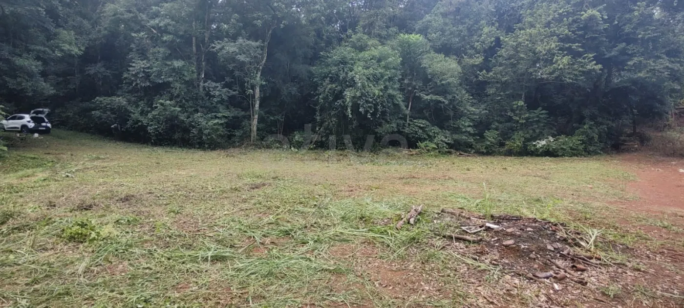 Comprar Rural / Ch&aacute;cara sem Casa em Toledo R$ 510.000,00 - Foto 1