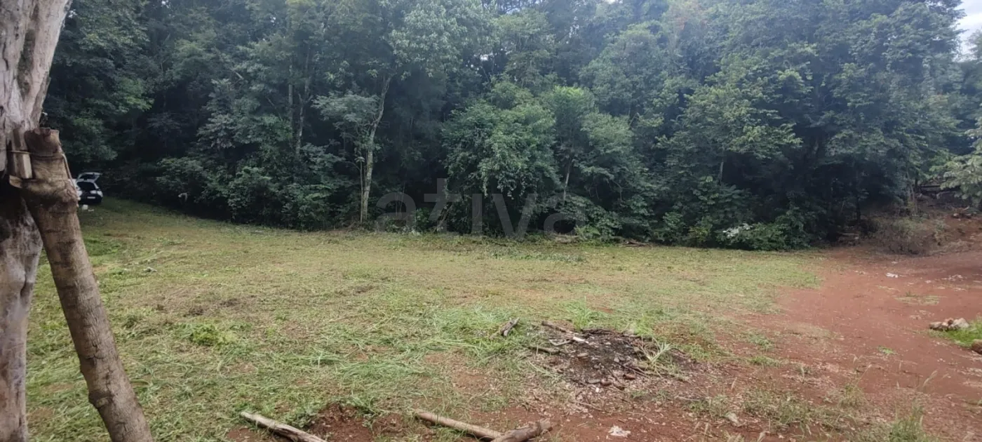 Comprar Rural / Ch&aacute;cara sem Casa em Toledo R$ 510.000,00 - Foto 3