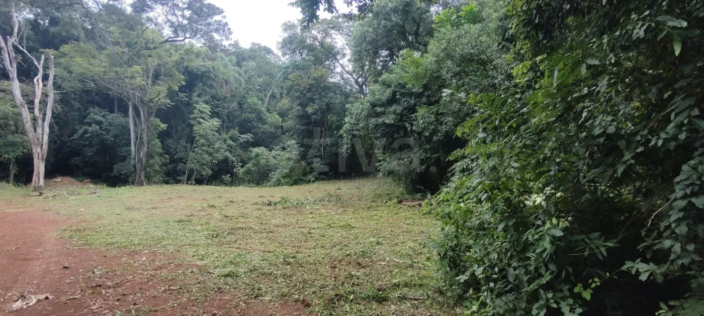 Comprar Rural / Ch&aacute;cara sem Casa em Toledo R$ 510.000,00 - Foto 2