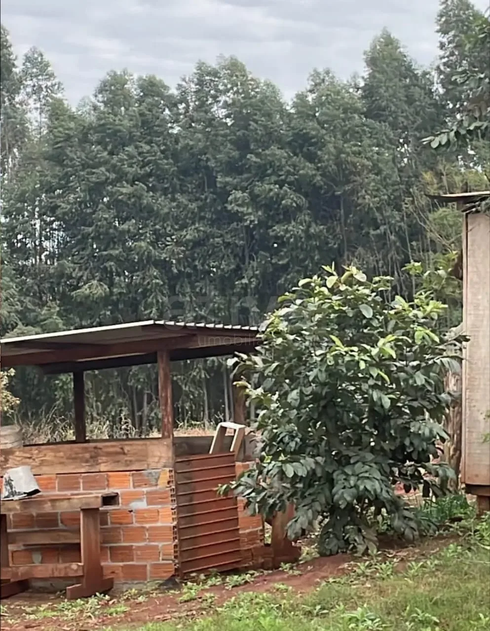 Comprar Rural / Ch&aacute;cara com Casa em Toledo R$ 750.000,00 - Foto 5