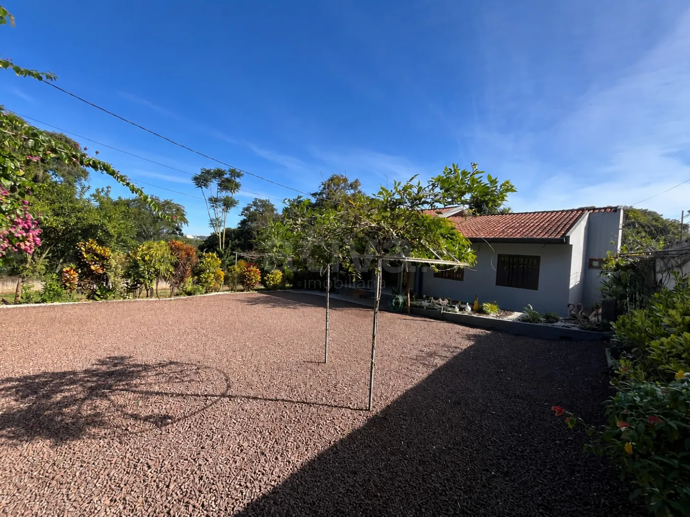 Alugar Casa / Padr&atilde;o em Toledo R$ 4.200,00 - Foto 3