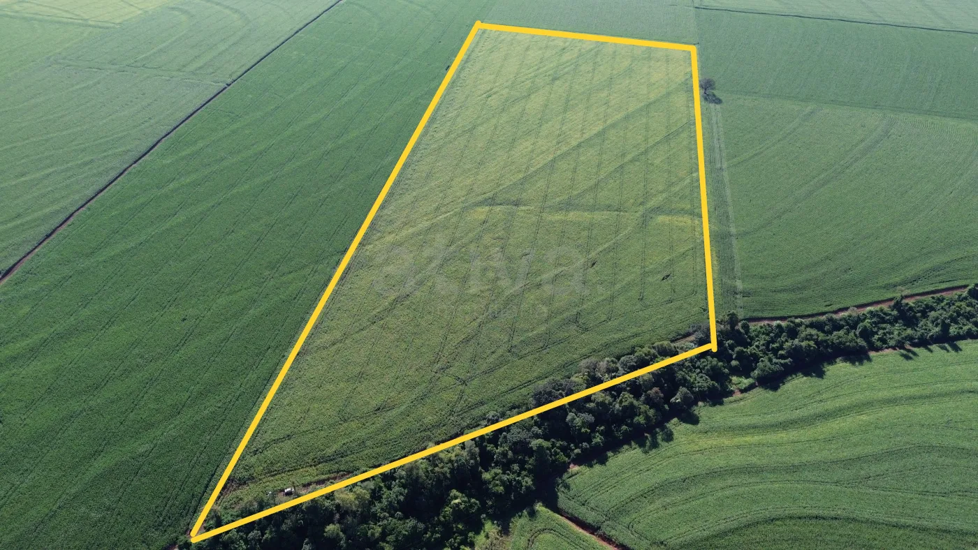 Comprar Rural / S&iacute;tio em Toledo R$ 4.430.000,00 - Foto 1