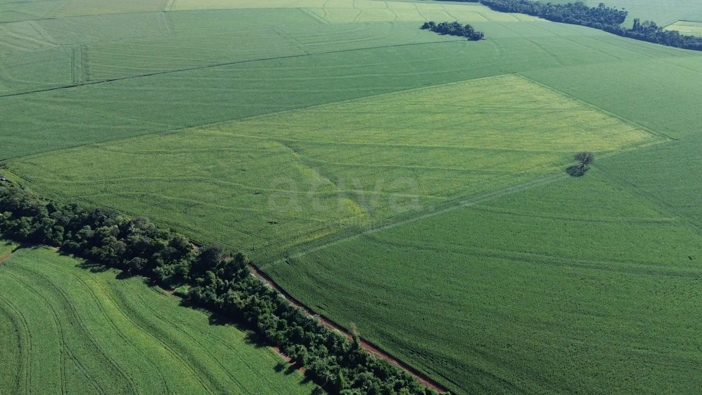 Comprar Rural / S&iacute;tio em Toledo R$ 4.430.000,00 - Foto 2