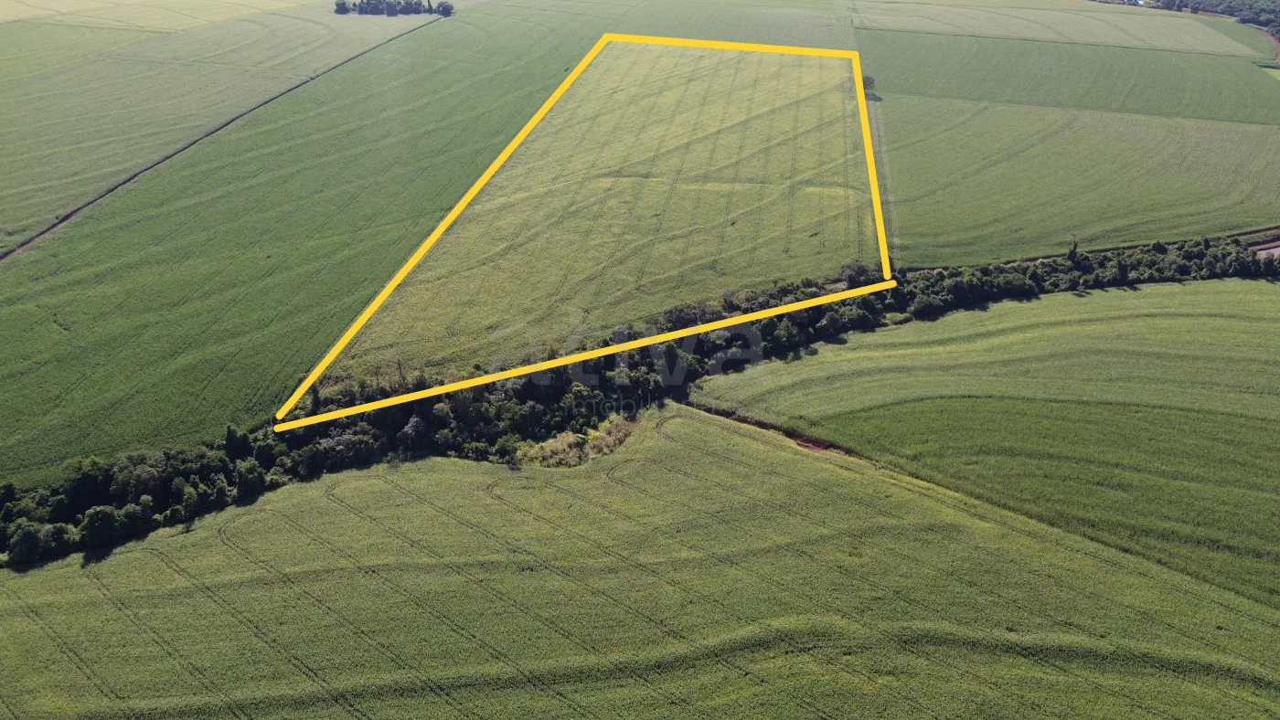 Comprar Rural / S&iacute;tio em Toledo R$ 4.430.000,00 - Foto 3
