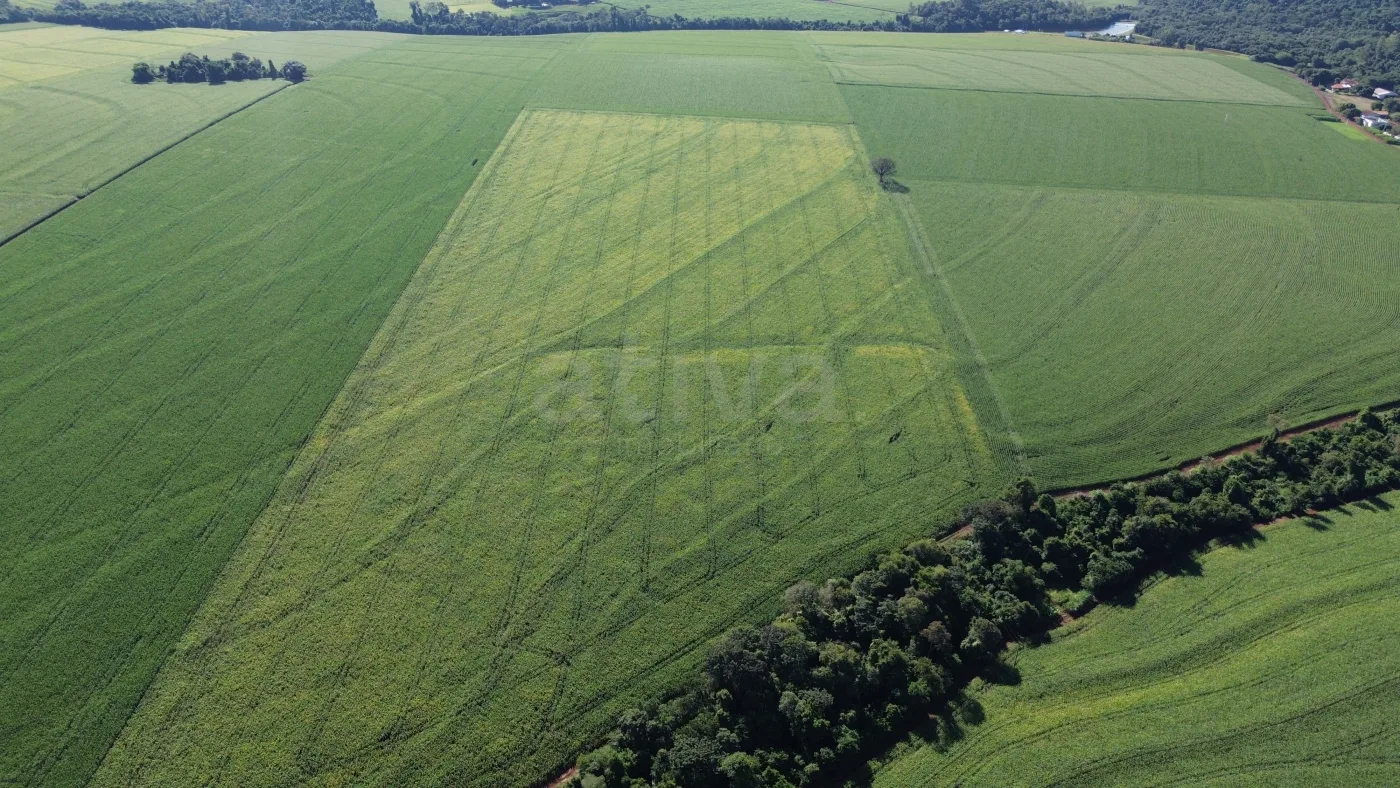 Comprar Rural / S&iacute;tio em Toledo R$ 4.430.000,00 - Foto 4